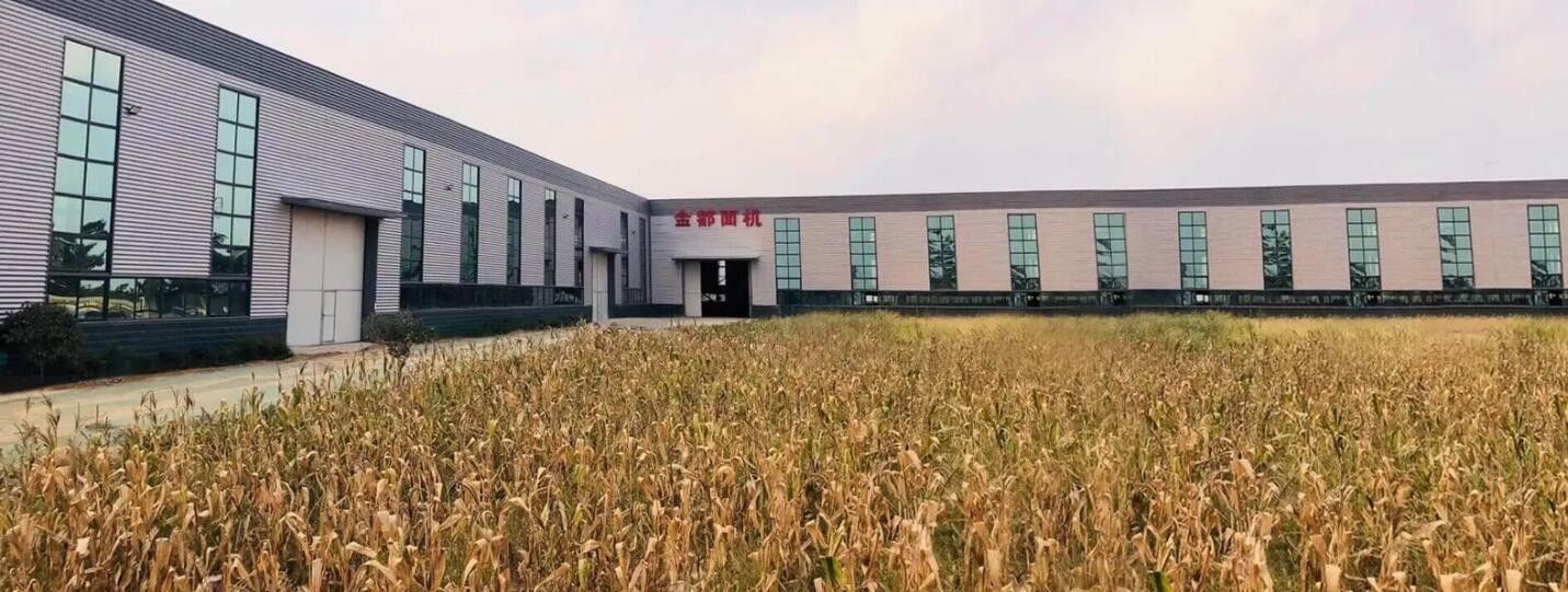 kwaliteit Verse Noedel die Machine maken Fabriek